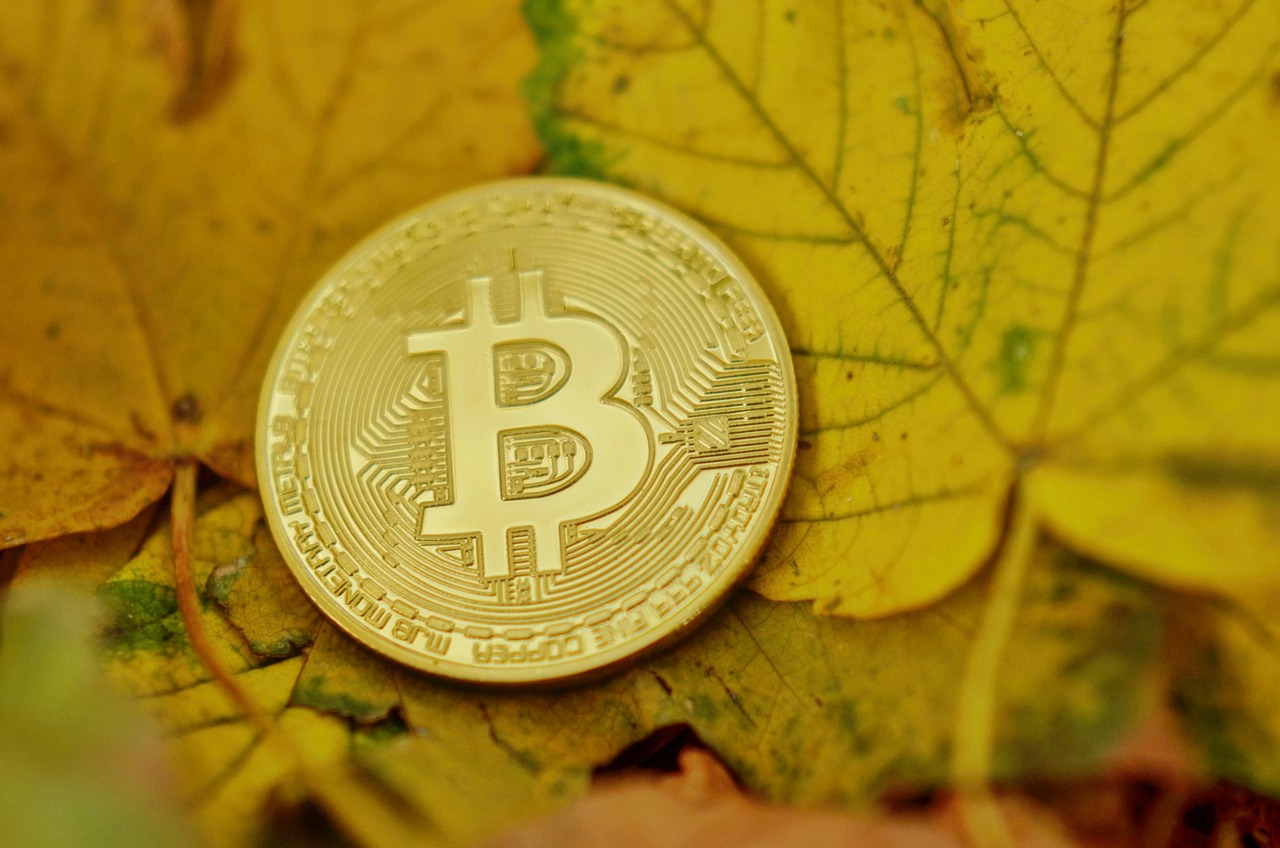 马斯克回归特斯拉、减少DOGE工作！TSLA与狗狗币双双暴涨